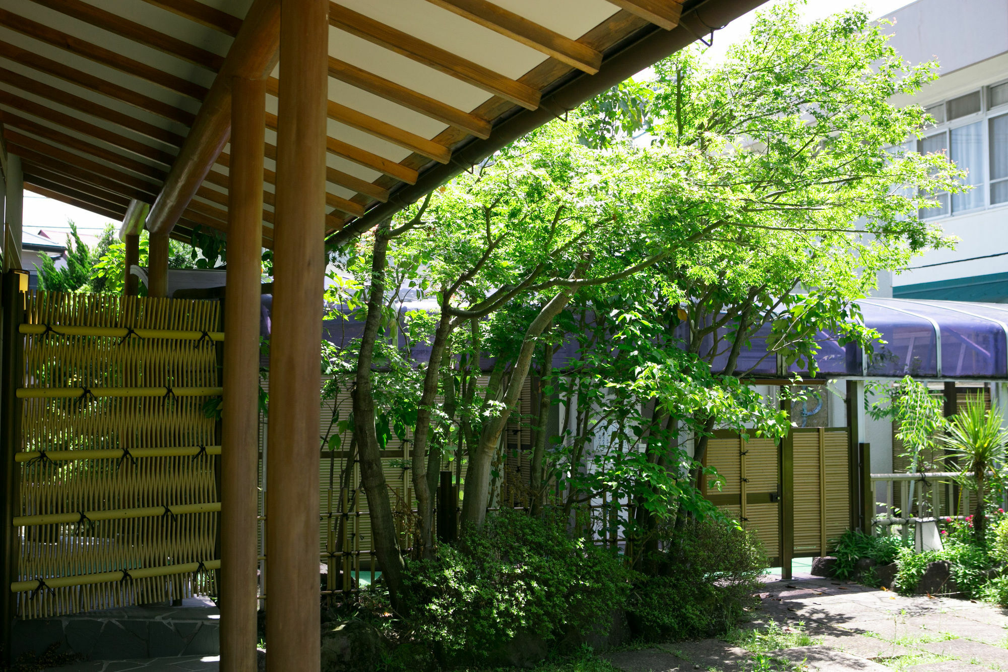 Hotel Yugawara-Onsen Manyoso Exterior foto